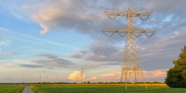 Electricity imports